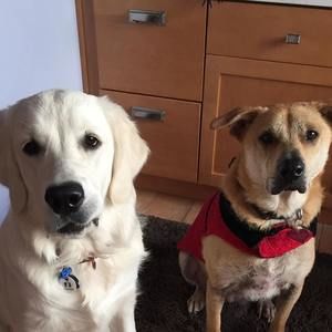 Meet your Posher, Kathryn